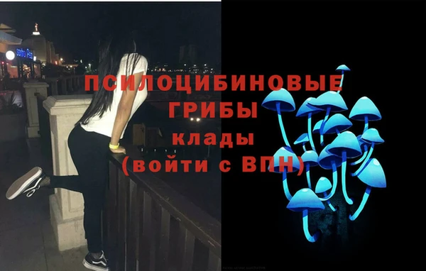 прущая мука Протвино