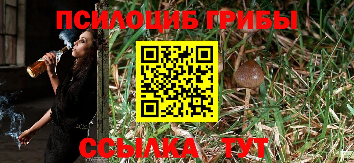 Галлюциногенные грибы ЛСД  Вход с VPN  Псилоцибиновые грибы MAGIC MUSHROOMS  Урус-Мартан 