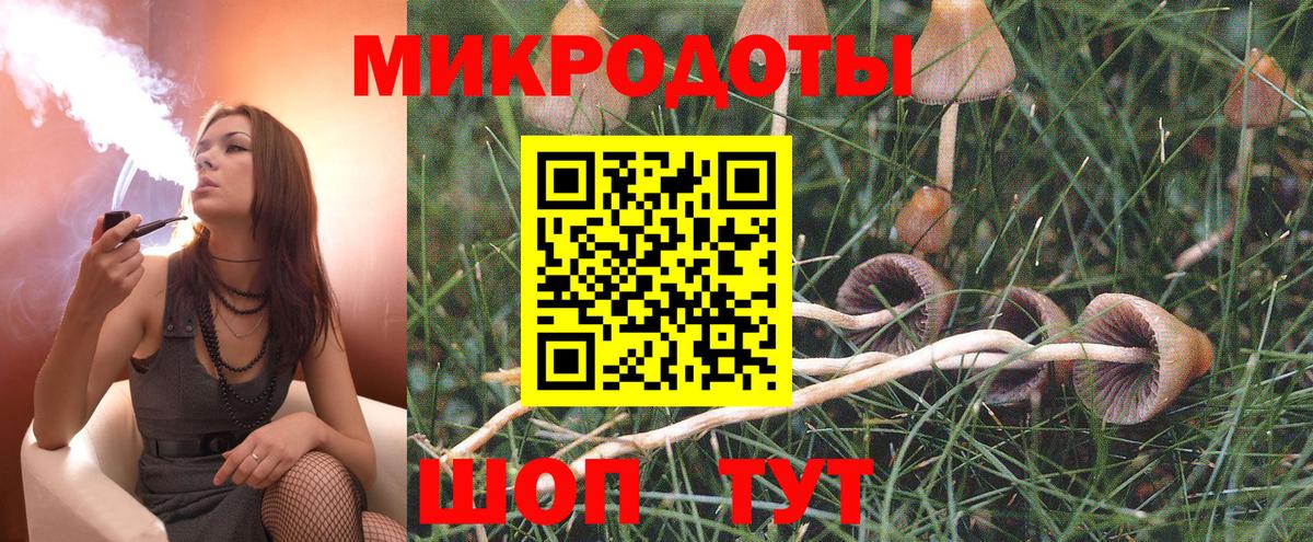 Галлюциногенные грибы Psilocybe Урус-Мартан